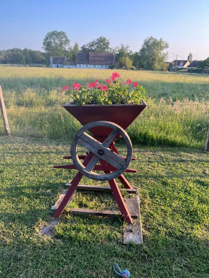 Oh ! Fleurs Des Champs Bed & Breakfast Chaumont-sur-Tharonne Luaran gambar
